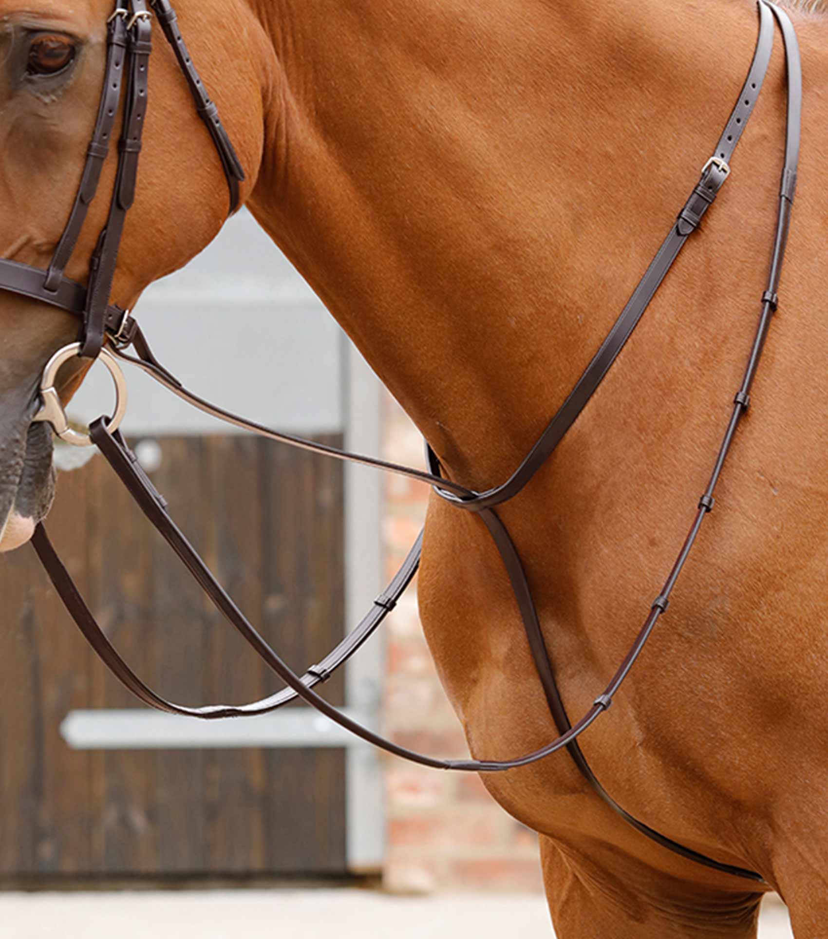 Мартингал Standing Martingale коричневый
