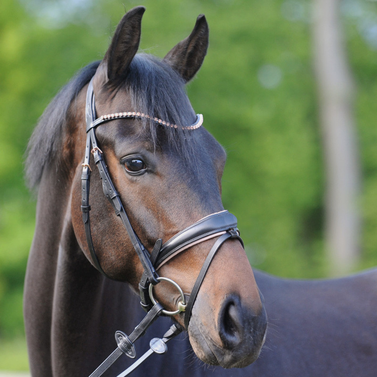 Оголовье трензельное X-Line Bridle Rosé чёрный