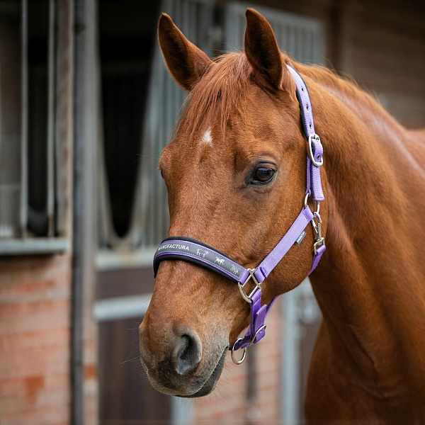 nedouzdok_na_neoprenovykh_podlozhkakh_miu_equestrian_neo_2_0_fioletovyy_pervaya_konnaya_manufaktura