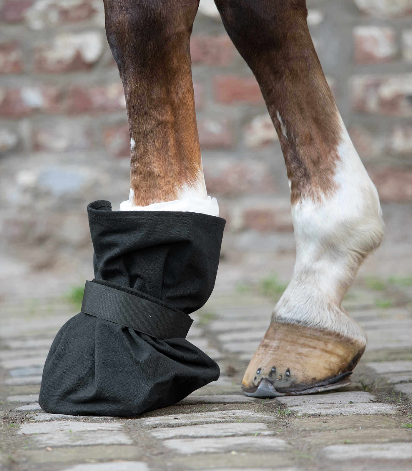 Ботинок-Чехол на копыто HOOF PROTECTOR серый