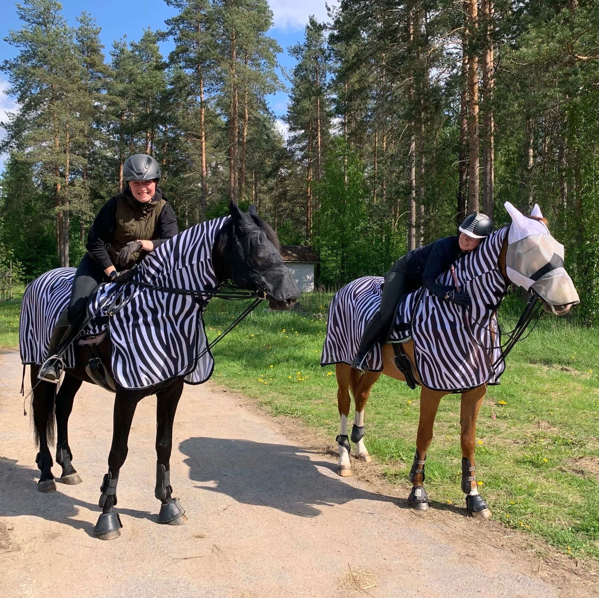 Полупопона антимоскитная EQUUS ZEBRA с капором (L, 361879-85-L)